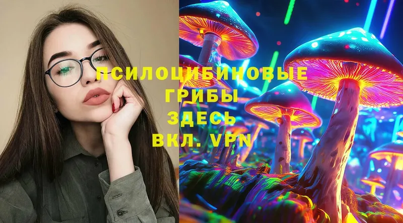 Галлюциногенные грибы Psilocybe  где можно купить   Нерехта 